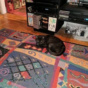 Meet your Posher, John